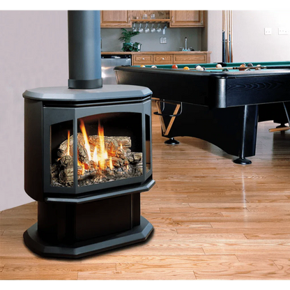 Kingsman 27" Free Standing Direct Vent Gas Stove - FDV350