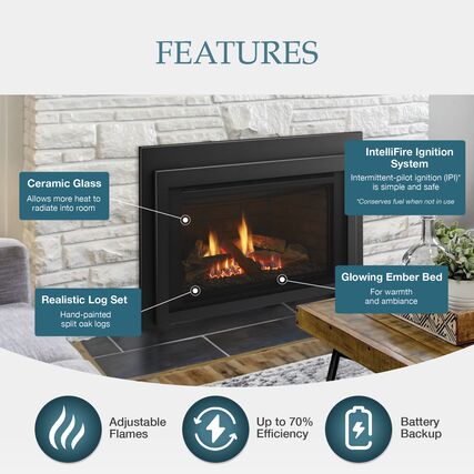 Majestic Jasper 30 inch Direct Vent Gas Fireplace Insert - JASPER30IN